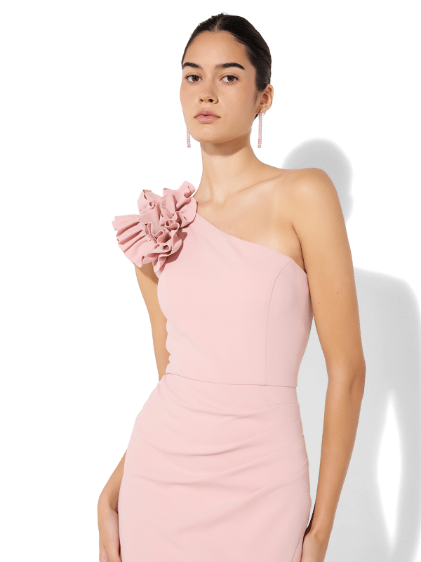 Amelia Pink Gown by Montique