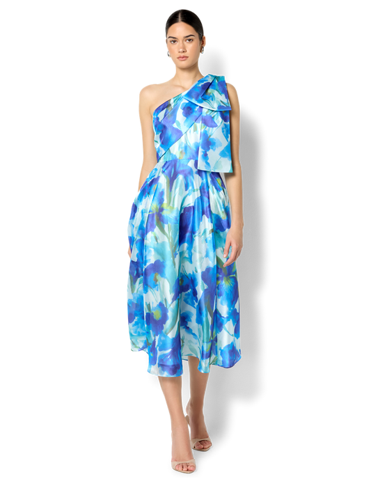 Winslow Sapphire Floral Print Dress