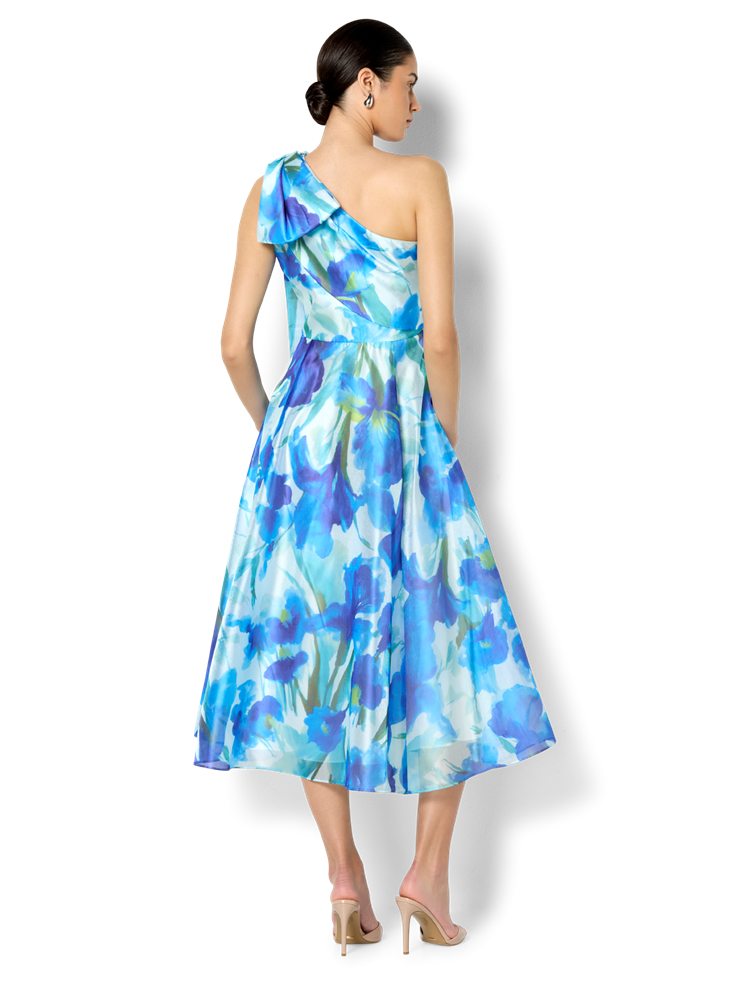 Winslow Sapphire Floral Print Dress