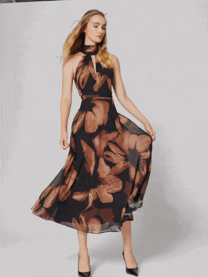 Charlotte Cinnamon Printed Dress