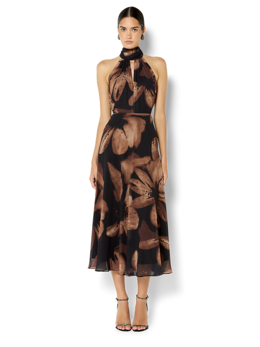 Charlotte Cinnamon Printed Dress