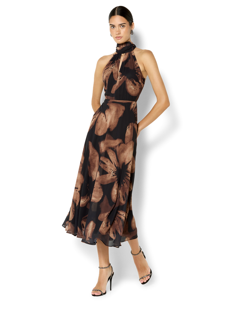 Charlotte Cinnamon Printed Dress
