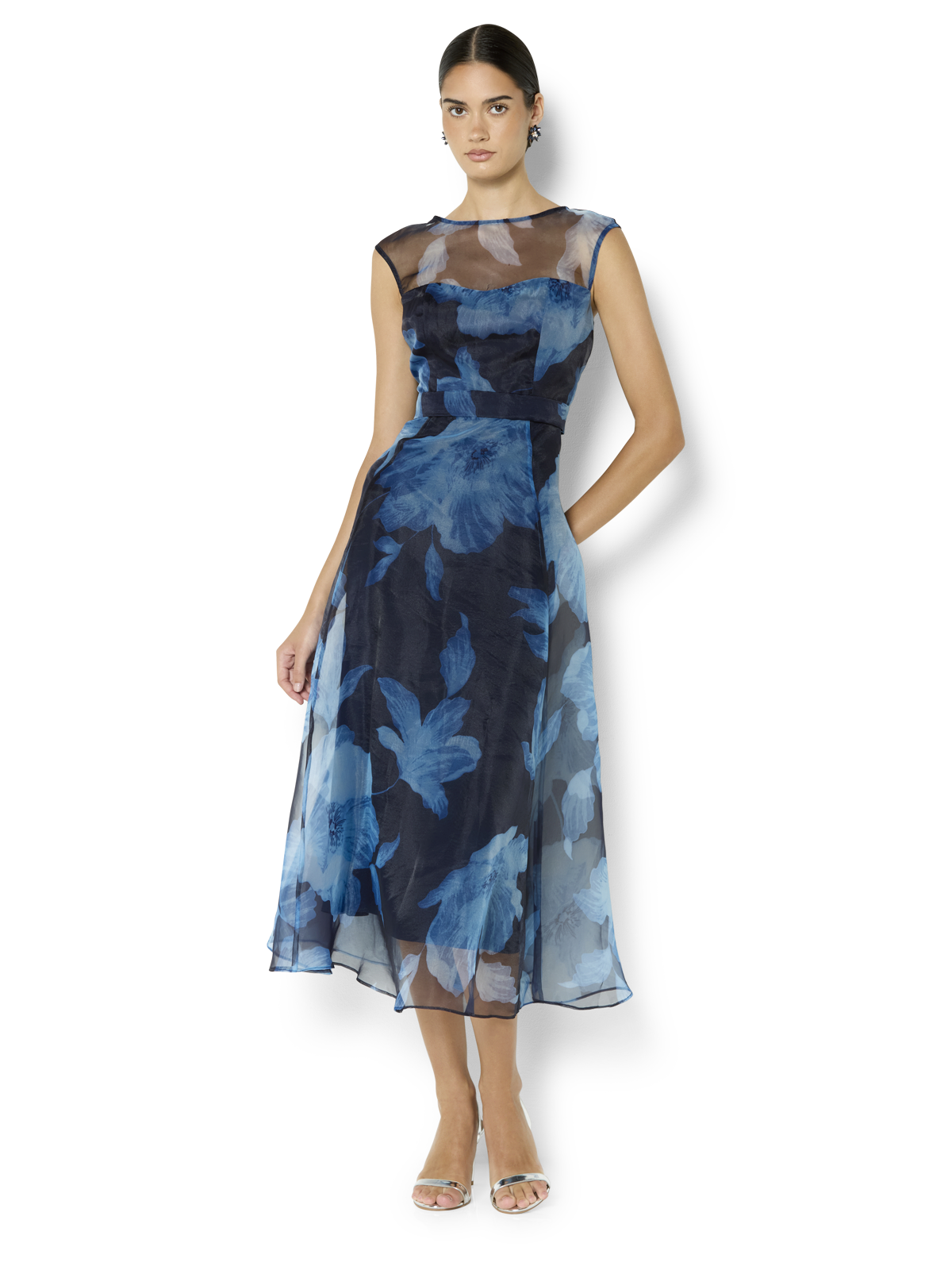 Christiana Navy Printed Organza Dress