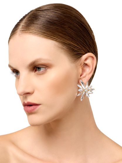 Sunni Silver Crystal Earrings