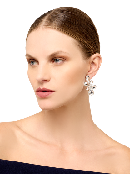 Maude Silver Crystal Earrings