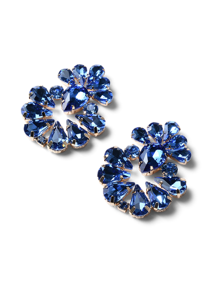 Hugo Blue Crystal Earrings