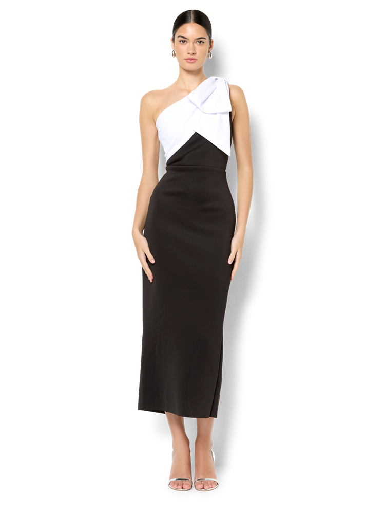 Lowan Duotone One Shoulder Dress