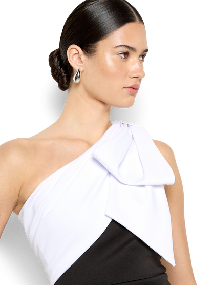 Lowan Duotone One Shoulder Dress