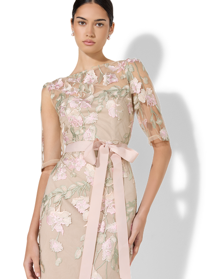 Raya Pink Embroidered Gown