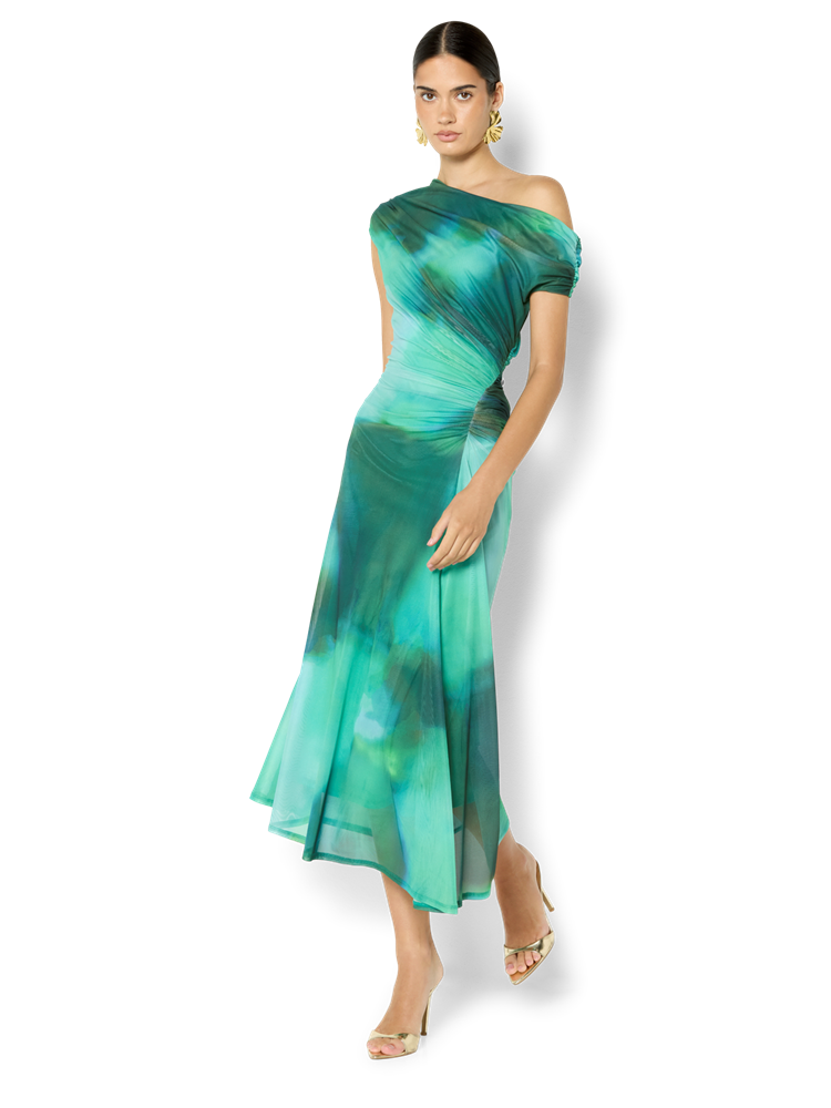 Selene Emerald Printed Mesh Dress