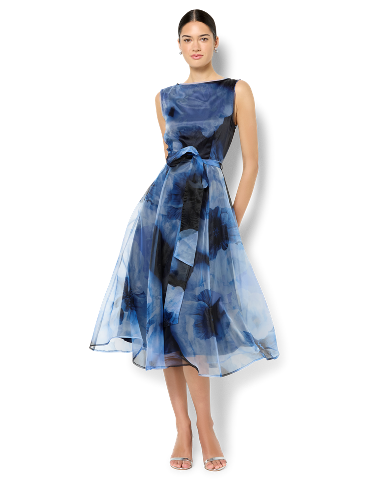 Sofia Sky Blue Organza Dress