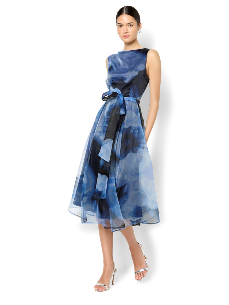 Sofia Sky Blue Organza Dress