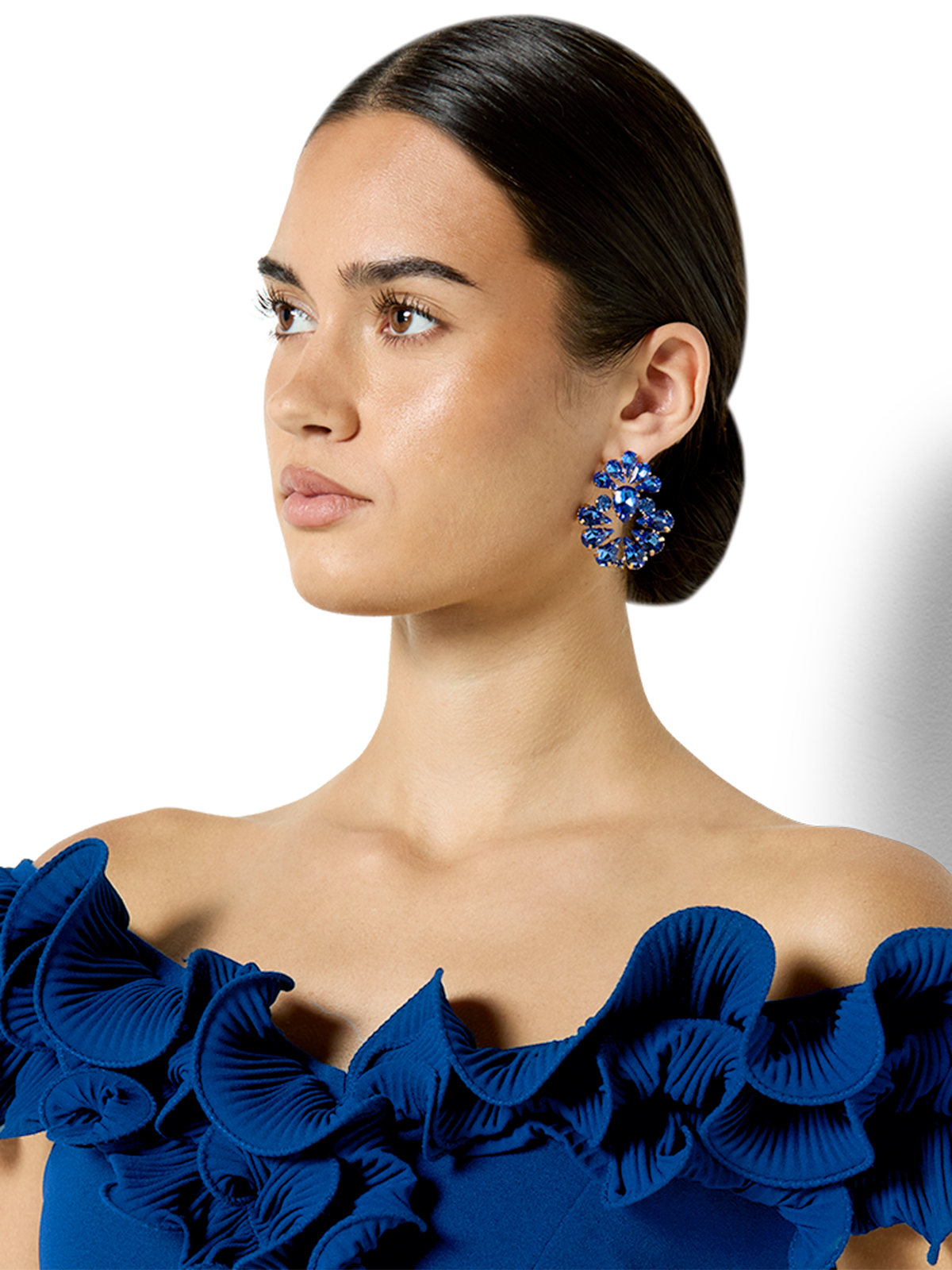 Hugo Blue Crystal Earrings