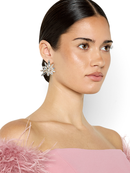 Sunni Silver Crystal Earrings