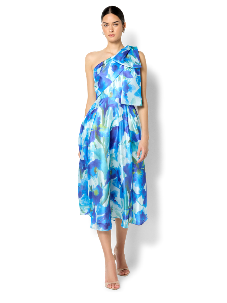 Winslow Sapphire Floral Print Dress